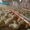 Customizable and Affordable Chicken House Automatic Nipple Water/Drinking Line for Broilers/Layers Hen/Breeders