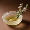 Organic Rosemary Extract for Natural Supplements and Wellness