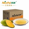Bulk Supply SD Mango Powder