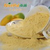 Bulk Supply SD Mango Powder