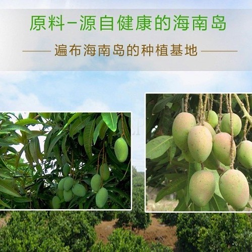 Bulk Supply SD Mango Powder