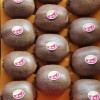 Low Price High Quality Fresh Kiwi Fruit
