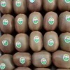 Low Price High Quality Fresh Kiwi Fruit