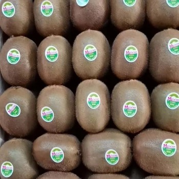 Low Price High Quality Fresh Kiwi Fruit