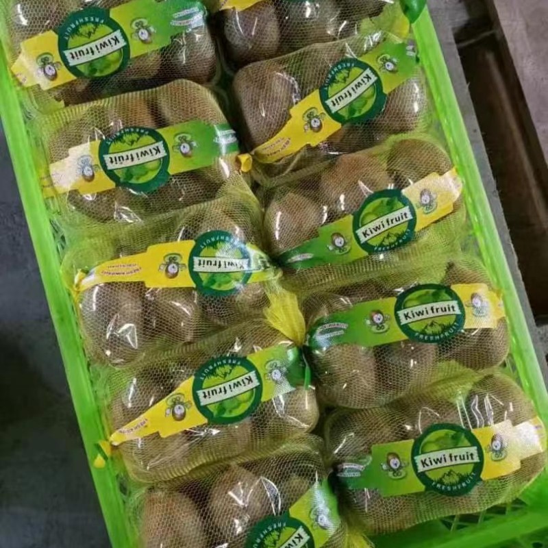 Low Price High Quality Fresh Kiwi Fruit