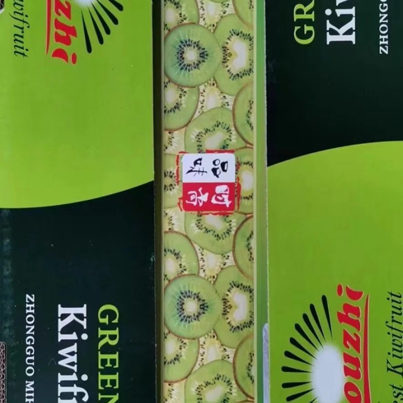 Low Price High Quality Fresh Kiwi Fruit