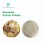 Premium 100% Natural Boswellia Extract Powder for Health