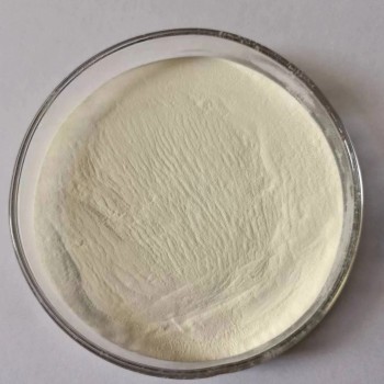 Premium 100% Natural Boswellia Extract Powder for Health