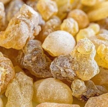 Premium 100% Natural Boswellia Extract Powder for Health