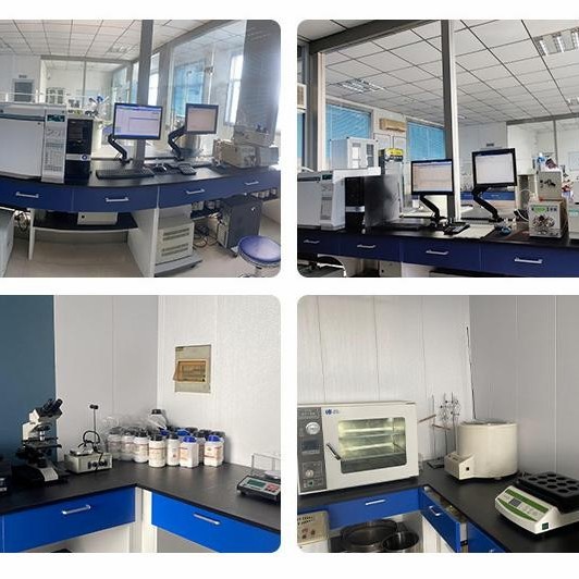 Premium 100% Natural Boswellia Extract Powder for Health