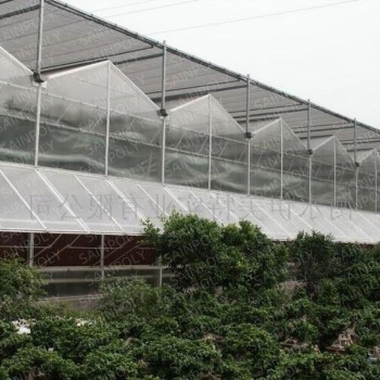 Morden Frame Structure Innovative Greenhouse for Optimal Crop Growth Polycarbonate Greenhouse