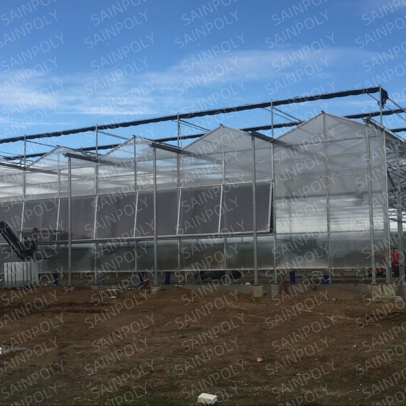 Morden Frame Structure Innovative Greenhouse for Optimal Crop Growth Polycarbonate Greenhouse