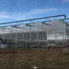 Morden Frame Structure Innovative Greenhouse for Optimal Crop Growth Polycarbonate Greenhouse