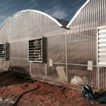 Morden Frame Structure Innovative Greenhouse for Optimal Crop Growth Polycarbonate Greenhouse