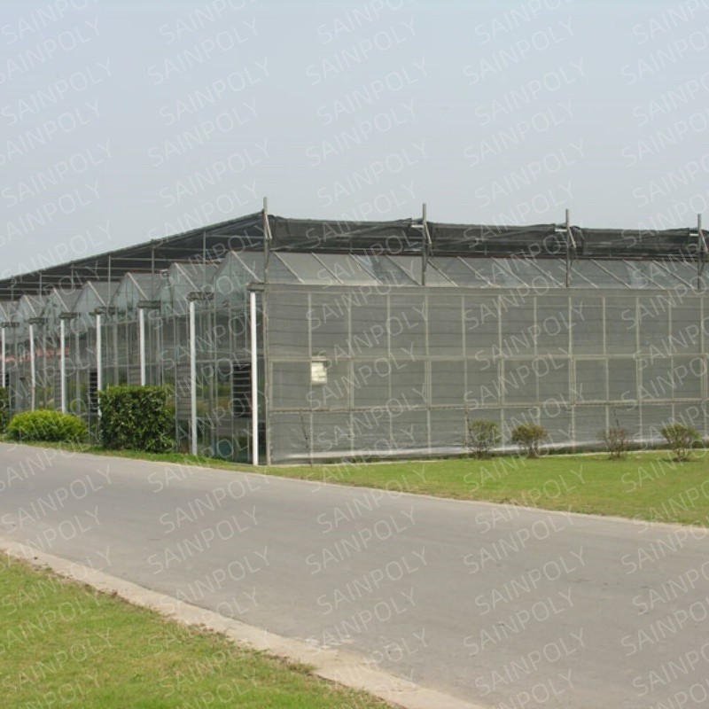 Morden Frame Structure Innovative Greenhouse for Optimal Crop Growth Polycarbonate Greenhouse
