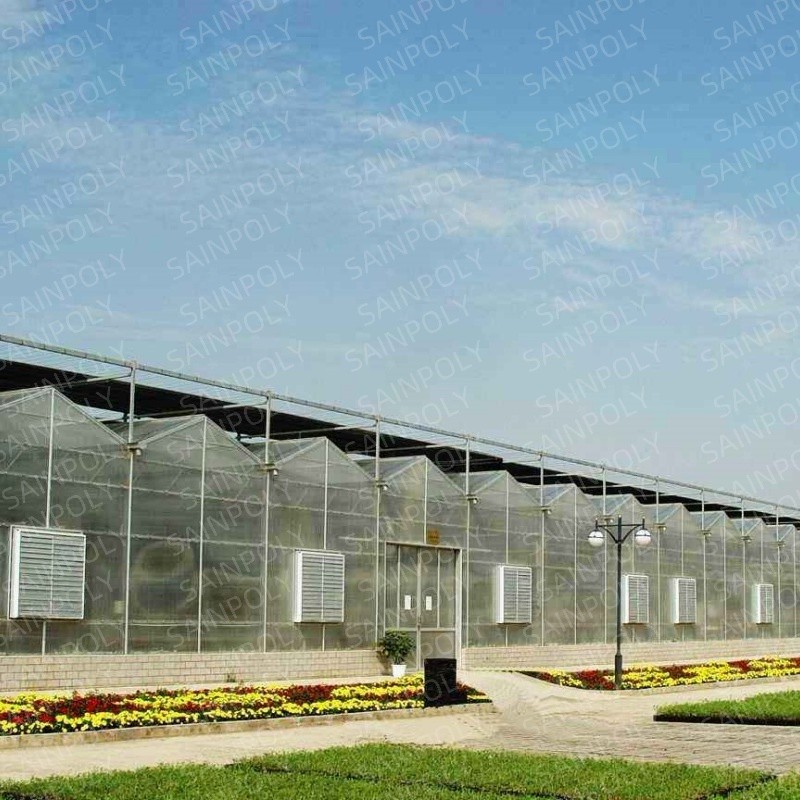 Morden Frame Structure Innovative Greenhouse for Optimal Crop Growth Polycarbonate Greenhouse