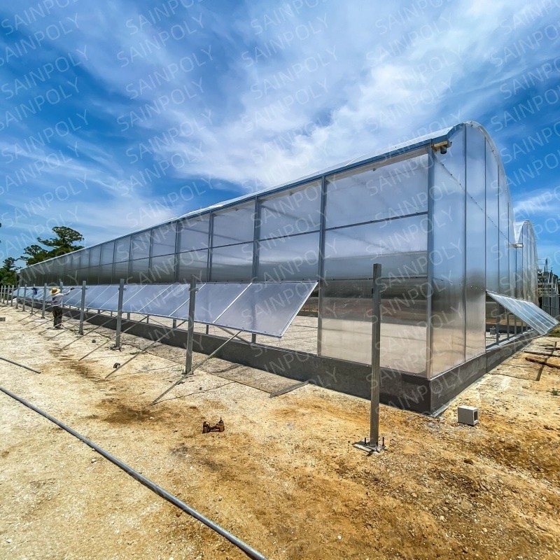 Morden Frame Structure Innovative Greenhouse for Optimal Crop Growth Polycarbonate Greenhouse