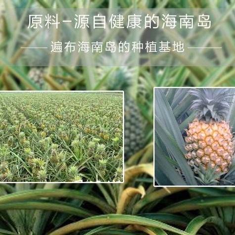 Natural Spray Dried Pineapple Juice Powder / Pineapple Powder/ Pineapple Drink Powder