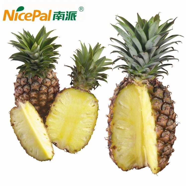 Natural Spray Dried Pineapple Juice Powder / Pineapple Powder/ Pineapple Drink Powder