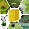 Sticky Traps for White Flies Aphids Leaf Miner