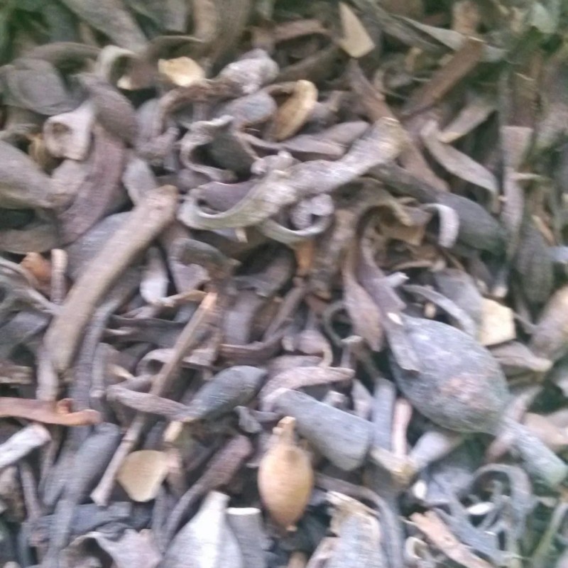 Soil Amendment Liquid Organic Fertilizer Soluble Seaweed Fertilizer for Agriculture