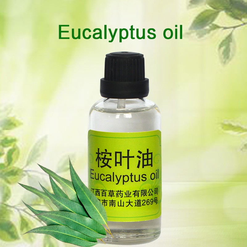 Oil Factory Eucalyptus Oil Wholesale Price