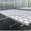 Hydroponics Nft Channel System for Lettuce