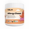 Allergy Chew Dogs Skin and Coat Health Seasonal Allergy Itch Relief Pet Supplement OEM