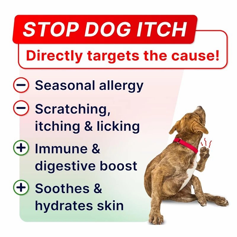 Allergy Chew Dogs Skin and Coat Health Seasonal Allergy Itch Relief Pet Supplement OEM
