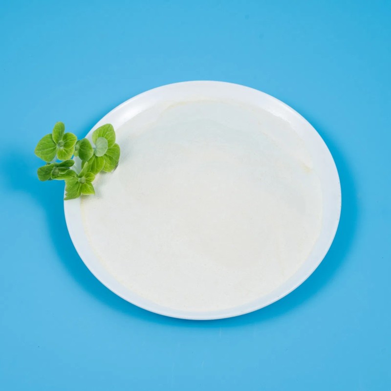 Non-GMO High Potency Probiotic Solution for H. Pylori