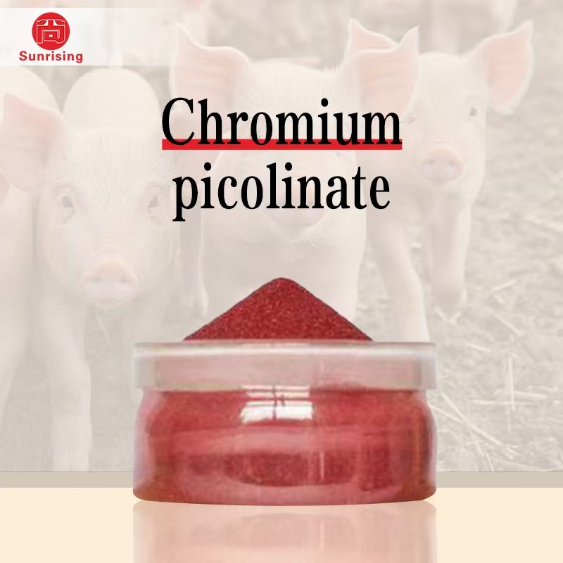 98% Chromium Picolinate 14639-25-9 General Reagent for Organic Chemical Raw Material Intermediates