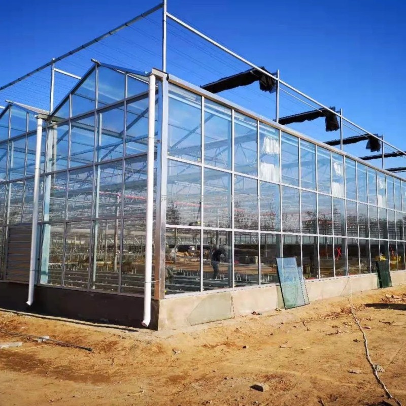 Multi Span Intelligent Glass Green House with Automatic Ventilation and Temperature Control System