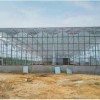 Multi Span Intelligent Glass Green House with Automatic Ventilation and Temperature Control System