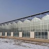 Multi Span Intelligent Glass Green House with Automatic Ventilation and Temperature Control System