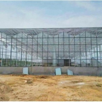 Multi Span Intelligent Glass Green House with Automatic Ventilation and Temperature Control System