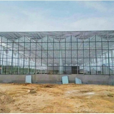 Multi Span Intelligent Glass Green House with Automatic Ventilation and Temperature Control System