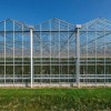 Multi Span Intelligent Glass Green House with Automatic Ventilation and Temperature Control System