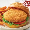 Premium Halal Chicken Patties for Savory Meal Solutions