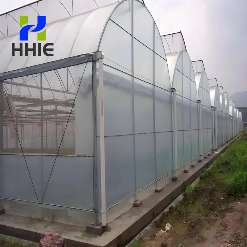 Reliable Quality Film Greenhouse, Greenhouse Size Can Be Infinitely Expanded