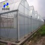 Reliable Quality Film Greenhouse, Greenhouse Size Can Be Infinitely Expanded