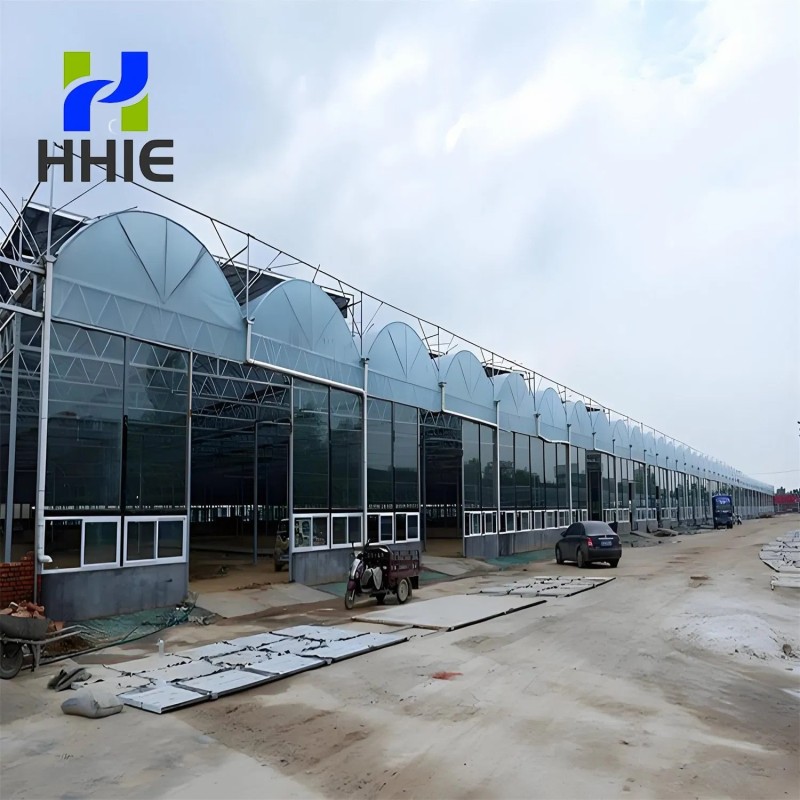 Reliable Quality Film Greenhouse, Greenhouse Size Can Be Infinitely Expanded