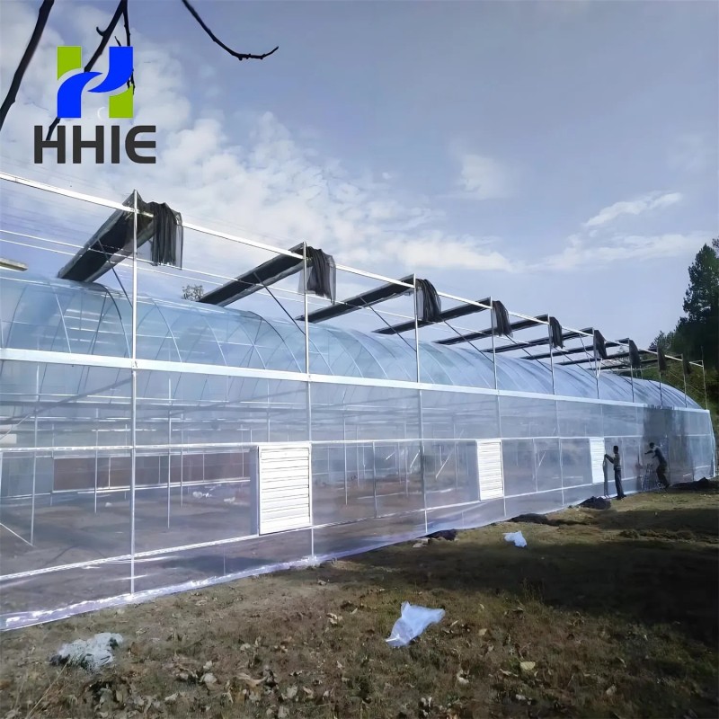 Reliable Quality Film Greenhouse, Greenhouse Size Can Be Infinitely Expanded