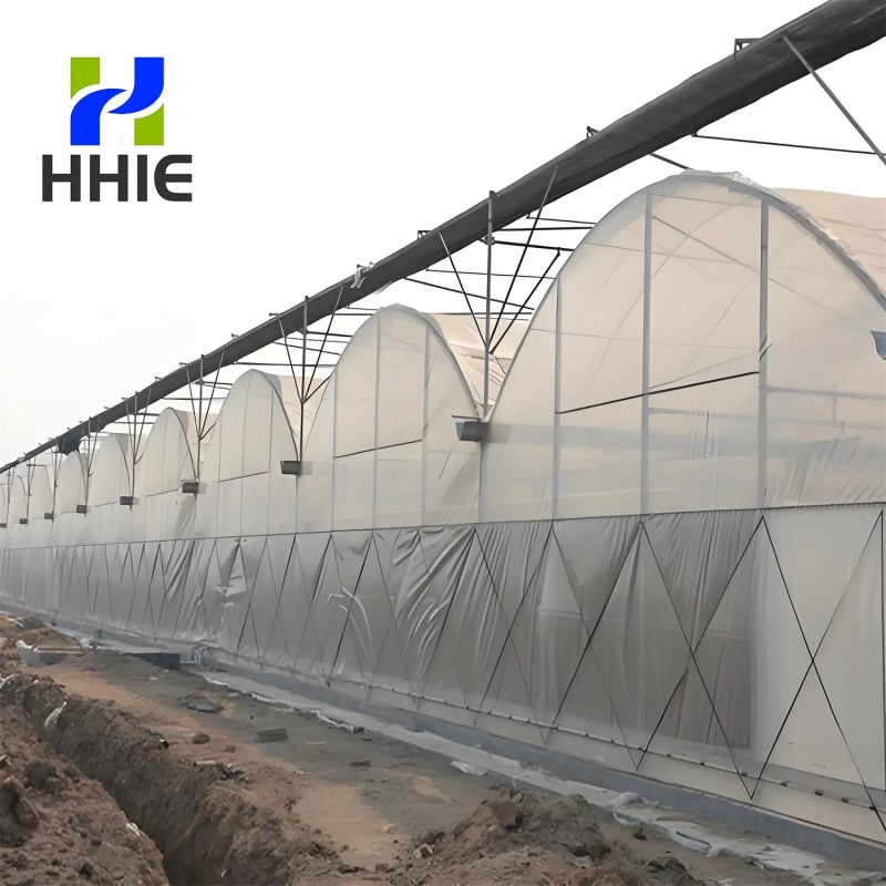 Reliable Quality Film Greenhouse, Greenhouse Size Can Be Infinitely Expanded