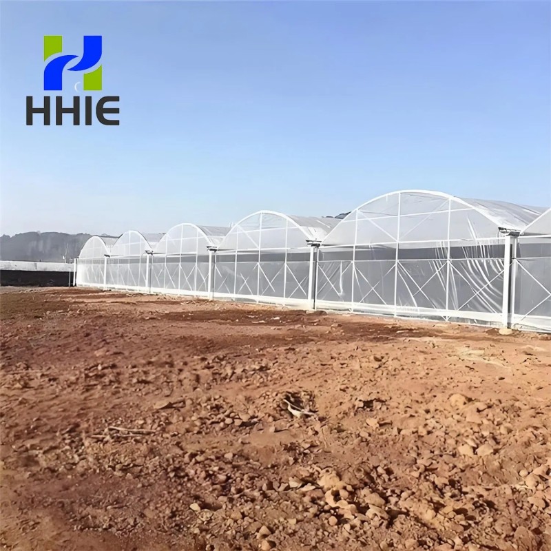 Reliable Quality Film Greenhouse, Greenhouse Size Can Be Infinitely Expanded