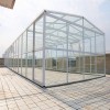 Cheap Large 10m Insulated Aluminium Profile Green House Metal Frame Singlespan China Tomato Agriculture Greenhouse