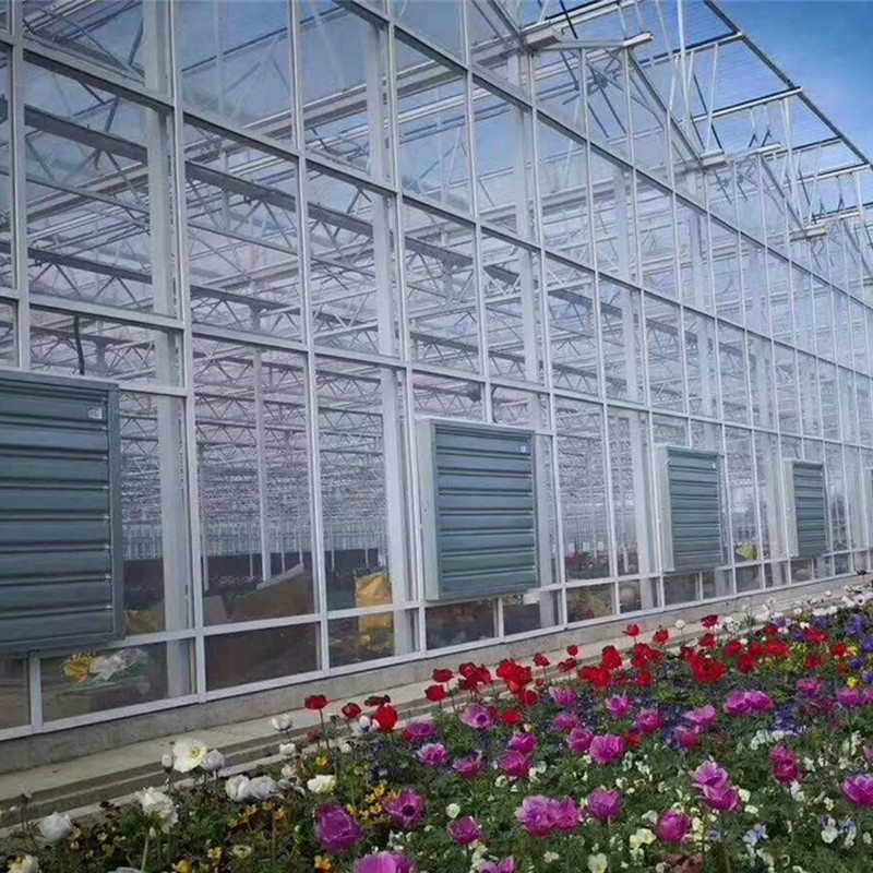 Cheap Large 10m Insulated Aluminium Profile Green House Metal Frame Singlespan China Tomato Agriculture Greenhouse