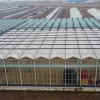 Cheap Large 10m Insulated Aluminium Profile Green House Metal Frame Singlespan China Tomato Agriculture Greenhouse