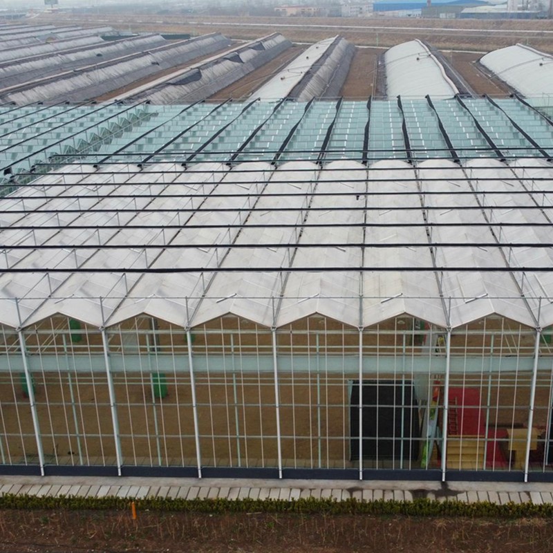 Cheap Large 10m Insulated Aluminium Profile Green House Metal Frame Singlespan China Tomato Agriculture Greenhouse