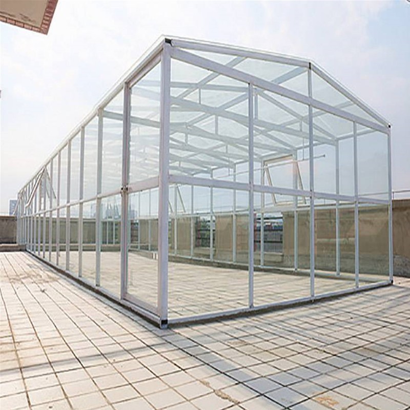 Cheap Large 10m Insulated Aluminium Profile Green House Metal Frame Singlespan China Tomato Agriculture Greenhouse