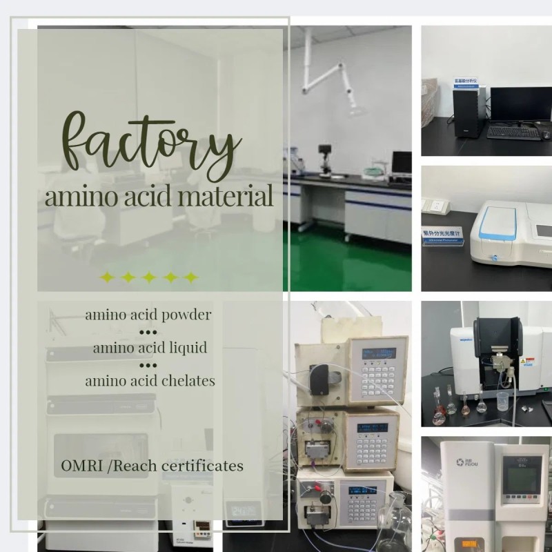 Advanced Hydrolyzed Amino Acid Blend Powder 80% for Agricultural Success